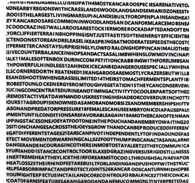 2026 ネットスペンド オーストラリア マーチ Tシャツ  - Mens Fashion Australia のレビューと価格